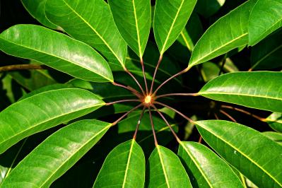 service esg circular economy