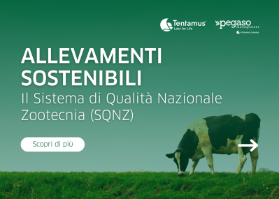 Imag NEWS sito web SQNZ
