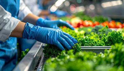 img consulenza tentaconsult Italia esg food