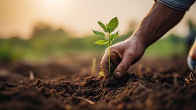 img consulenza tentaconsult Italia esg food environment