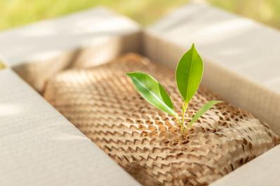img consulenza tentaconsult italia packaging sostenibile