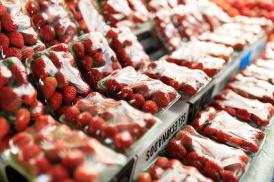 tentaconsult italia packaging moca